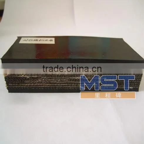 Polyeter(EP) Long-distance Conveyor Belt photo-3