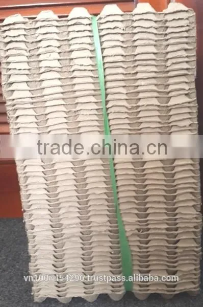 30 -Cavity Paper Egg Tray photo-3
