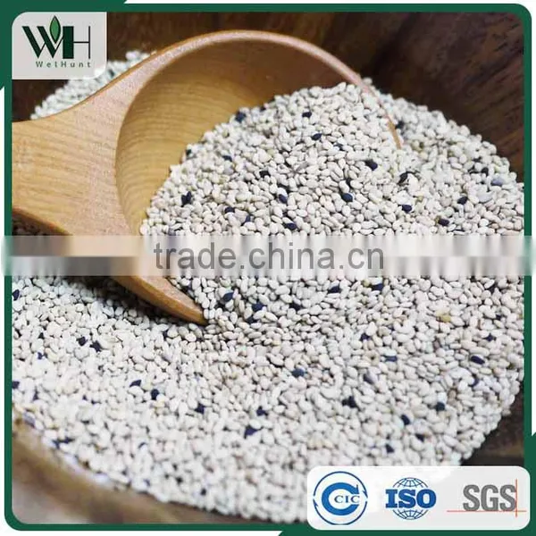 Reliable Pakistan White Sesame Supplier photo-3