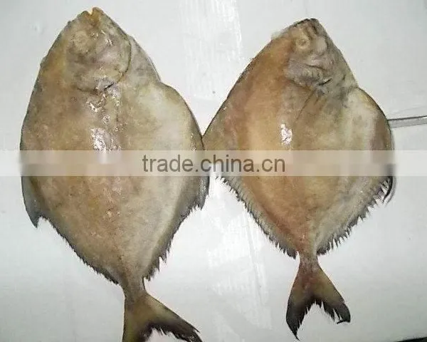 Frozen Black Pomfret Whole Round Size 200-300 and 300-500 photo-4