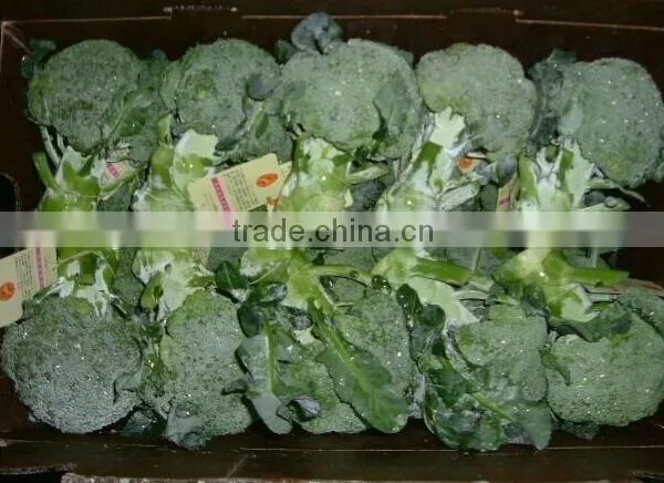 Broccoli photo-2
