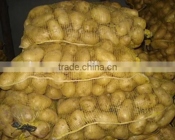 Factory Supplying 2015 New Crop Fresh Holland Potato With Good Quality photo-5