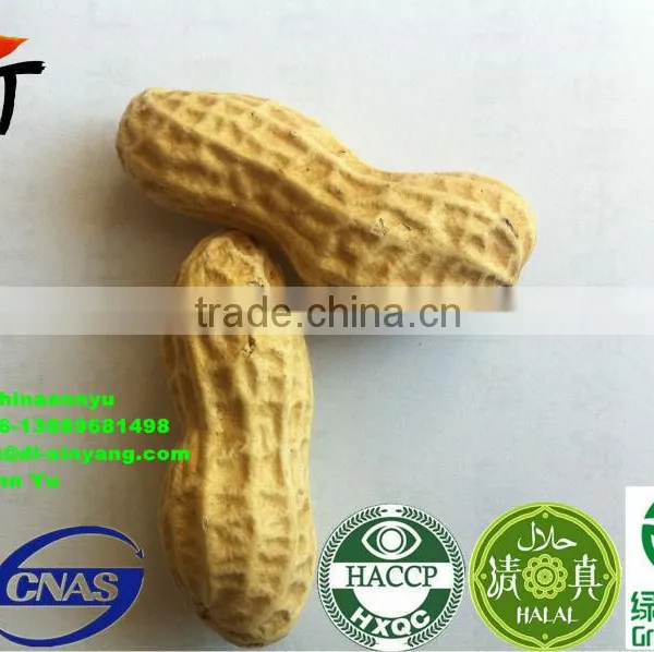 High Quality Roasted Peanut in Shell photo-2