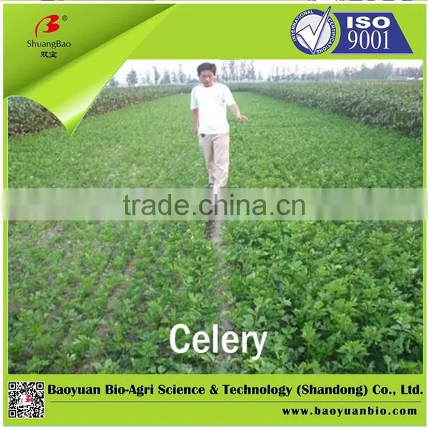 High Quality Organic Fertilizer With 45% Organic Matter(granluar or Powder) photo-3