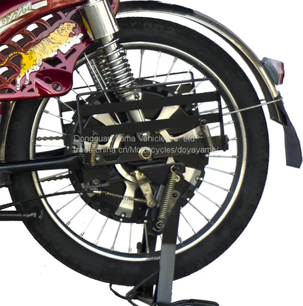 South Asia Market Cargo Loading Bike Electric Bike Electric Bicycle for Wholesale photo-3