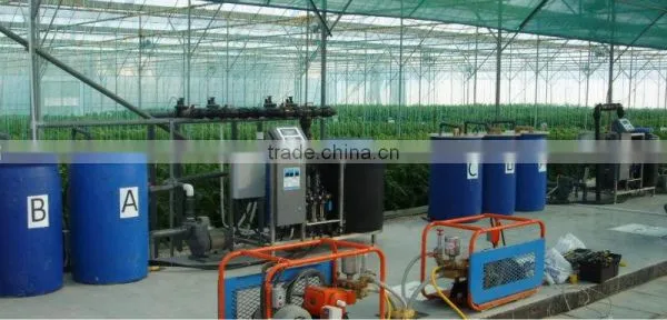 Poly-Film Greenhouse photo-3