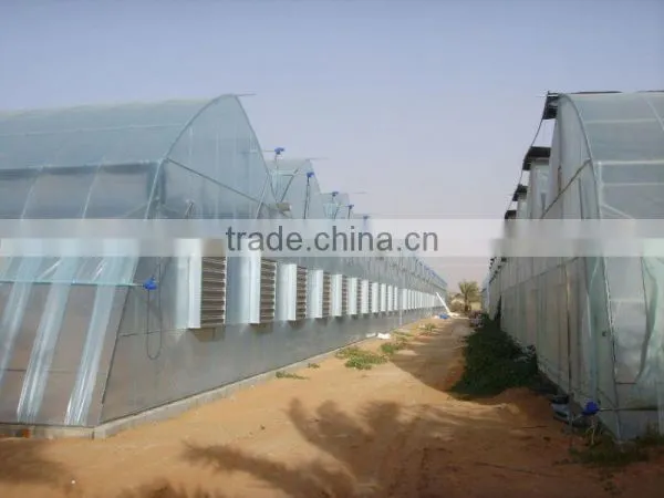 Poly-Film Greenhouse photo-5