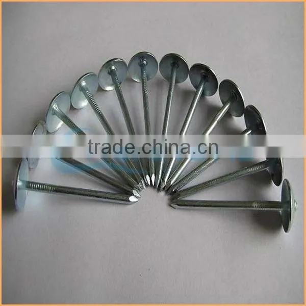 Top Quality Annular Roofing Nails Trusted Chuanghe Suppliers From Com photo-3