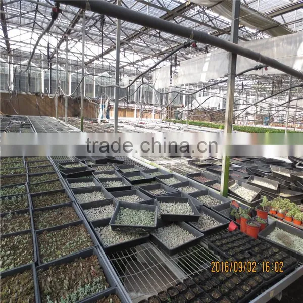 AL Frame Plastic Greenhouse With European Standart photo-6