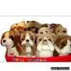 Sell Baby Toy