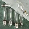 Sell High Pressure Sodium Lamps