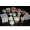 Instant Noodle Bowl/Paper Cup