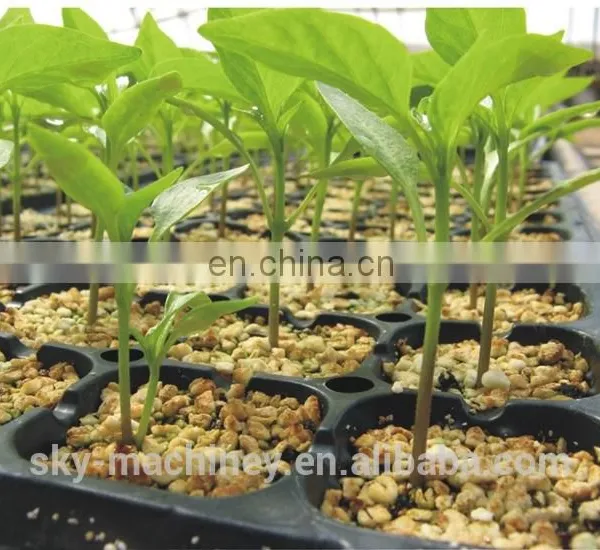 Black Plastic Cell Seeding and Nursery Seed Sprouter Tray photo-2