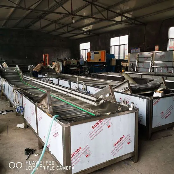 Bubble Vegetable Cleaning Machine Automatic Fruit Washing Machine For Sale photo-2