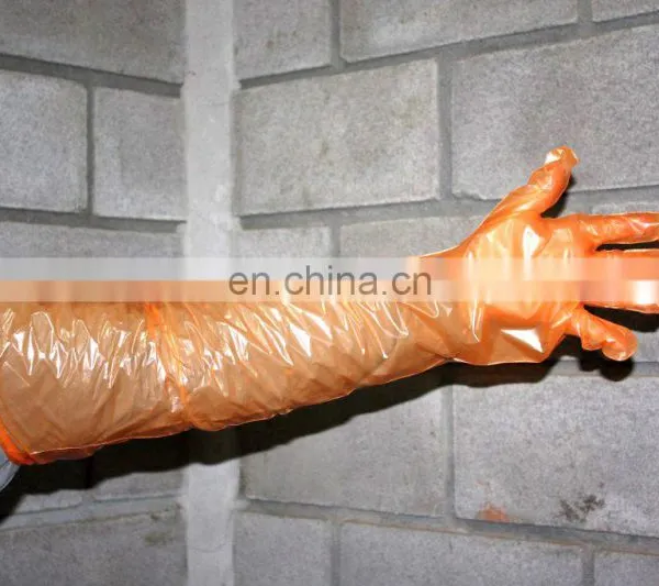 Medical Veterinary PE Gloves Making Machine photo-2