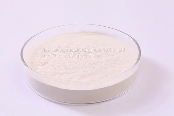 Acid Protease