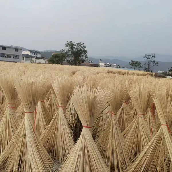 Bulk Wholesale of the Latest Products of Natural Bamboo Stick photo-5