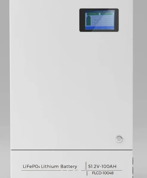 51.2V 100Ah 200Ah Home Energy Storage Solar Power System Wall Mount 48v 5kwh 10kwh Lifepo4 Battery