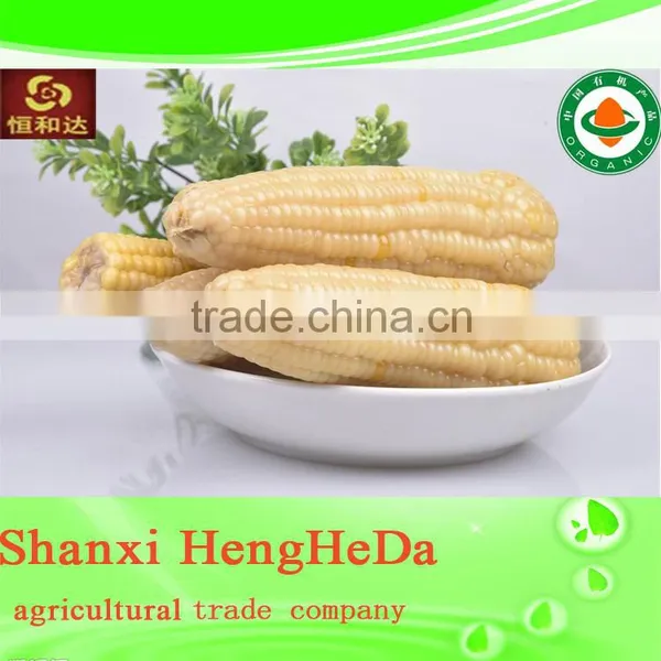 New Style New Products for Teenagers Yellow Maize Corn From Pakistan photo-3