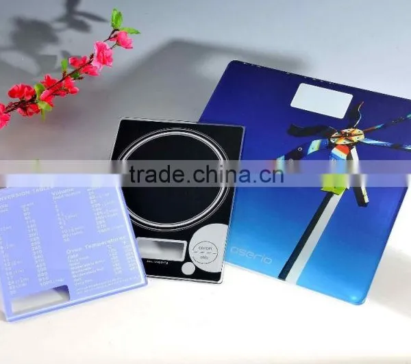 Body Scale Glass Panel photo-3