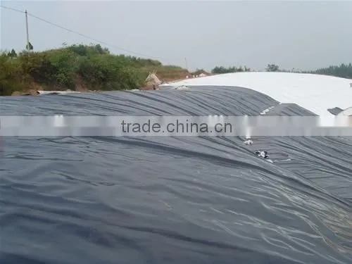High Quality Hdpe Geomembrane Cheap Price/hdpe Geomembrane Liner/waterproofing Materials photo-2