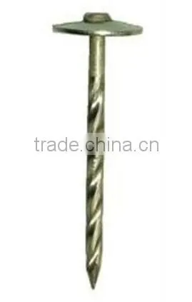 Twisted Shank Galvanized Umbrella Head Roofing Nails photo-4