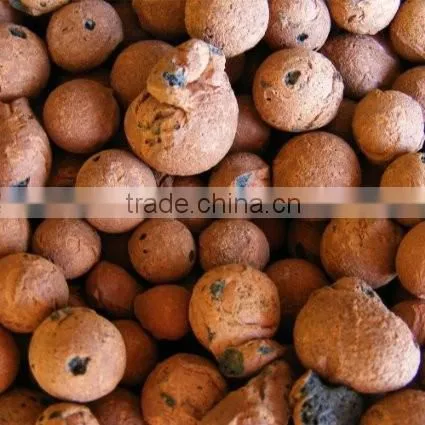 Hydro Grow Media (Leca Stones) Orchid/Hydroponic Clay Pebbles Expanded Clay Pebbles