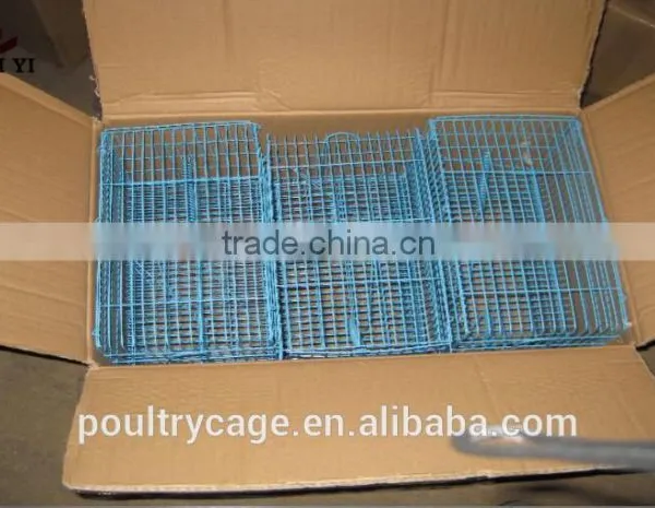Foldable Live Mouse Cage Trap From China Manufacture photo-6