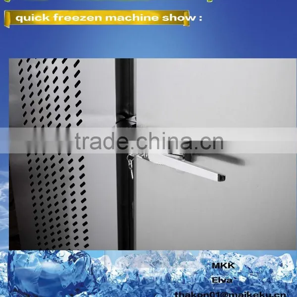 Rozen Ark Stainless Steel Two-door Big Production Can be Customized Seafood Frozen Ark photo-4