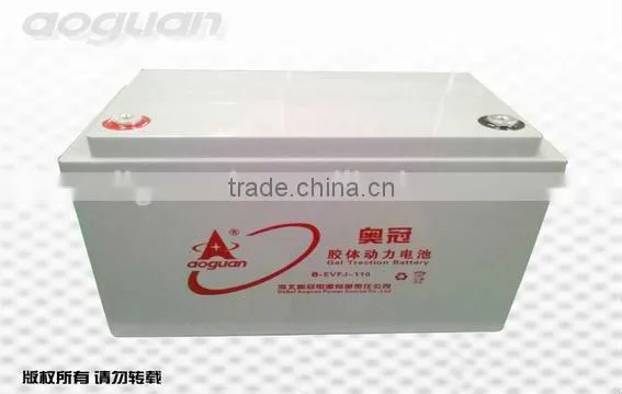 12V110Ah (6-EVFJ-110) EV Colloid Battery