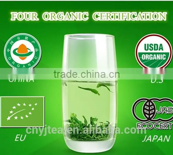 Chinese Organic Green Tea photo-4