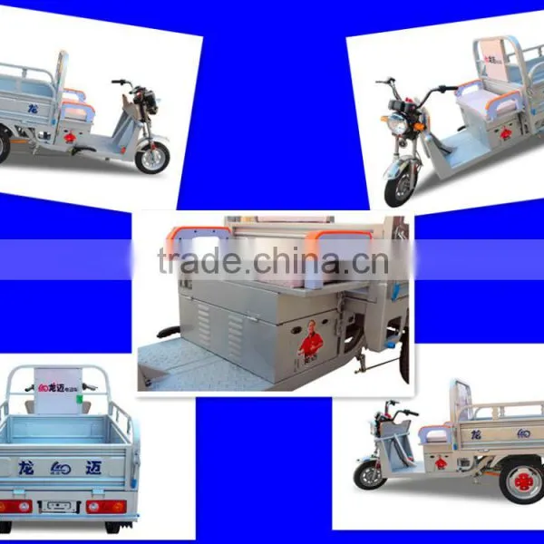 for Cargo E-rickshaw photo-2