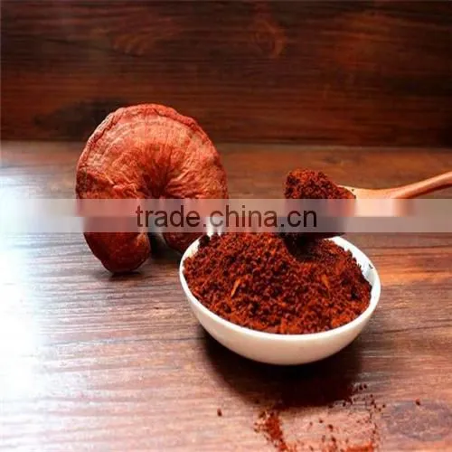 Hot Sale GMP Reishi Mushroom Extract photo-2