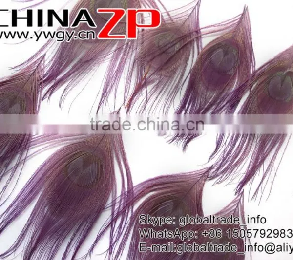 Leading Supplier CHINAZP Wholesale High Quality Dyed Purple Trimmed Short Peacock Feathers for Earrings photo-3