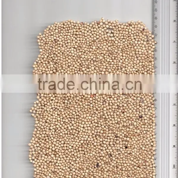 WHITE SORGHUM photo-3