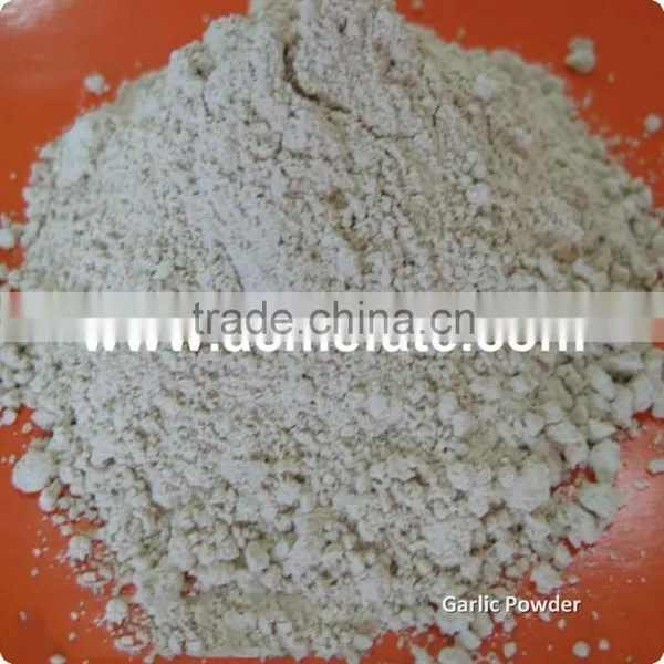 Chinese Hot Products Single Spices Dehydrated Garlic Powder photo-5