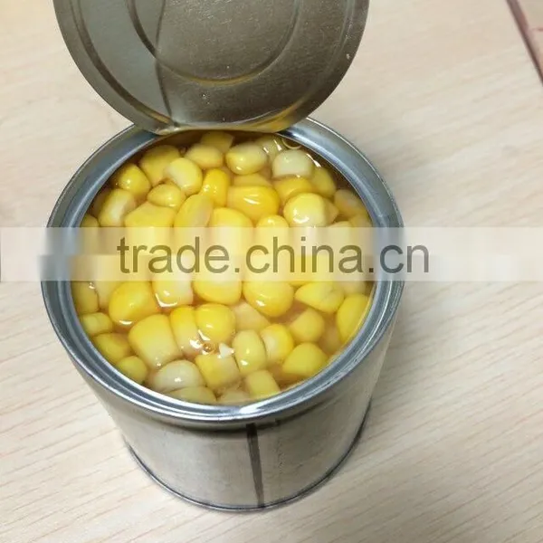 3000g Good Quality Canned Sweet Corn Kernel photo-3