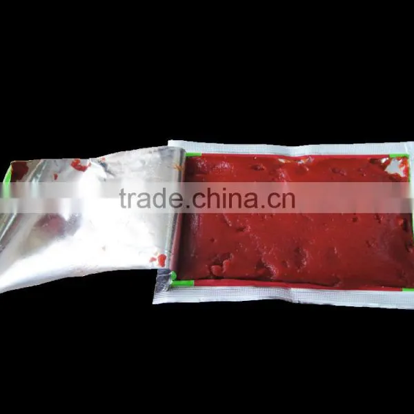 70 g Sachet Tomato Paste in Box and Carton Packaging From China Supplier photo-4