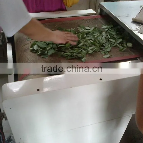Continuous Working Microwave Eucommiae Tea Dryer and Sterilization Processing Equipment photo-2