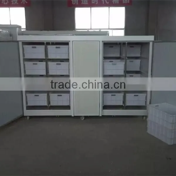 Hot Sale Green Mung Bean Sprout Machine photo-4