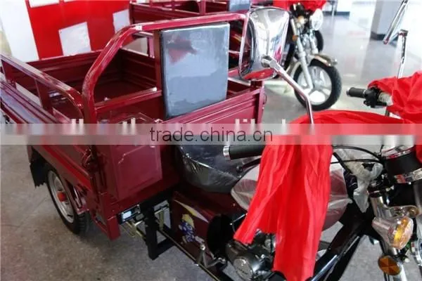 250cc 3 Wheel Tricycle for 2 Adults and Sale photo-2
