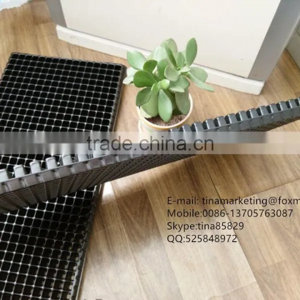 512 Cell Black HIPS Plastic Nursery Seed Propagator Tray, Plastic Plant Seedling Trays China Manufactory Price photo-5