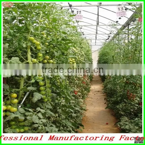 Environmental Small Size PC Sheet Green House With Stable Steel/aluminium Frame photo-3