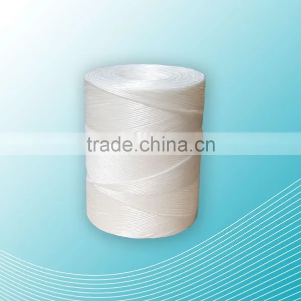 Super Strong Polypropylene Baler Twine photo-6