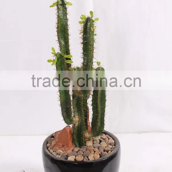 CHY040919 Evergreen Plastic Succulent Plant on Sale photo-2