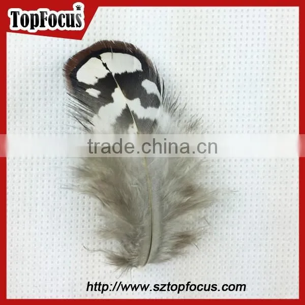 Hot Sale Dyed Wholesale Natural Cheap Artificial Pheasant Feathers Prices photo-3