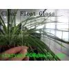 3mm-15mm Clear Float Glass photo-2