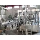 Full Automatic Beverage Filling Plant , Liquid Filling Production Line With PLC Control
