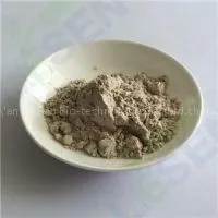 Onion Powder