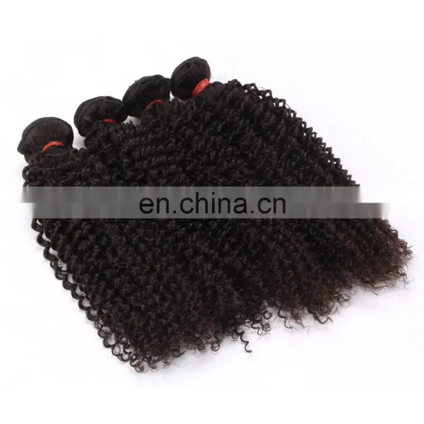 New Style Human Double Drawn Hair Weft